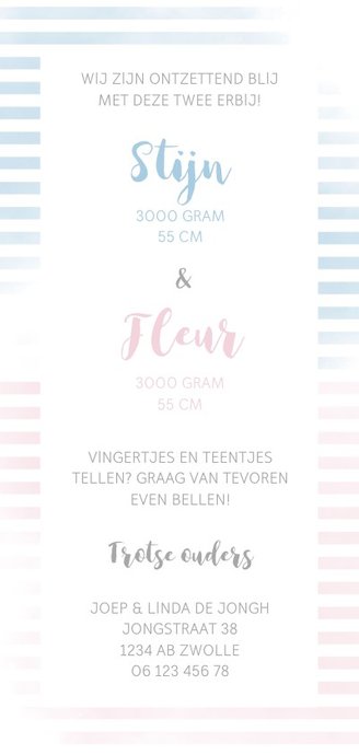 Geboortekaartje tweeling met strepen in roze/blauw Achterkant