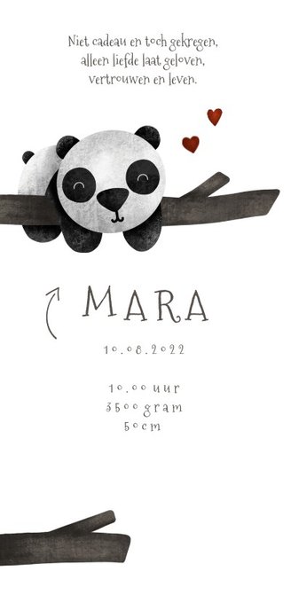 Geboortekaartje tweeling panda's met takjes lief 2