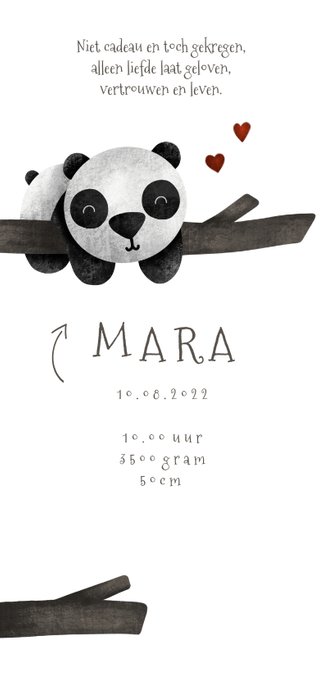 Geboortekaartje tweeling panda's met takjes lief 2