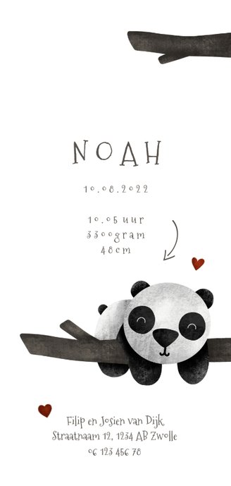 Geboortekaartje tweeling panda's met takjes lief 3