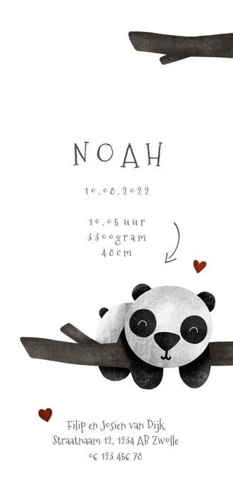 Geboortekaartje tweeling panda's met takjes lief 3