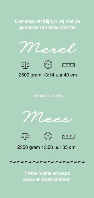 Geboortekaartje tweeling voetjes 3