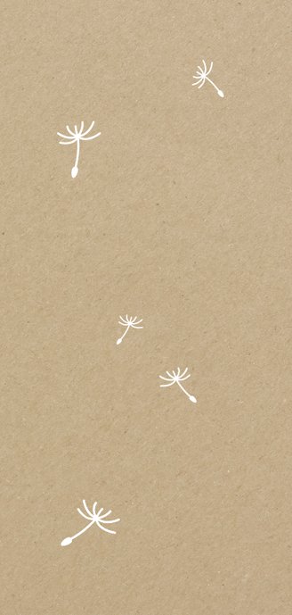 Geburtskarte Junge mit Pusteblume Foto innen Rückseite