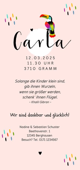 Geburtskarte Tukan tropisch rosa Rückseite