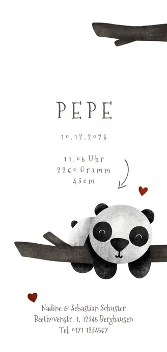 Geburtskarte Zwilling Pandabären 3