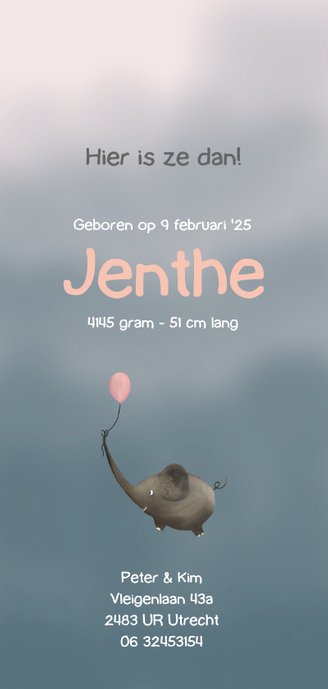 Grappig geboortekaartje met regenboog en schattige olifant Achterkant