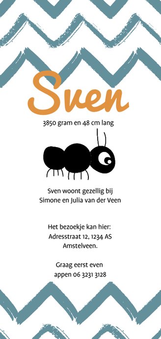 Grappig staand geboortekaartje met dier Achterkant