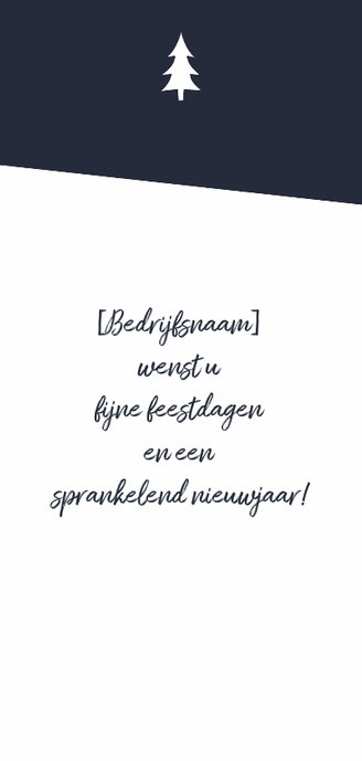 Kerstkaart_2017_1_SK Achterkant