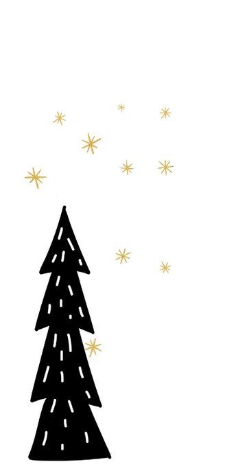 Kerstkaart: De ster een klein teken 2