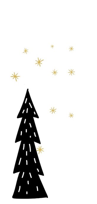 Kerstkaart: De ster een klein teken 2