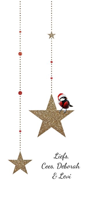 Kerstkaart gouden glitter ster met koolmeesje Achterkant
