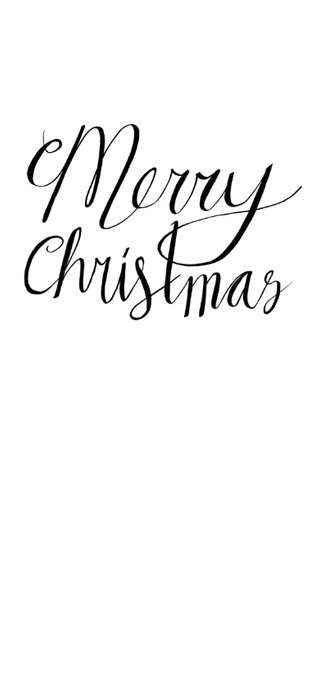 Kerstkaart rode vogel 2