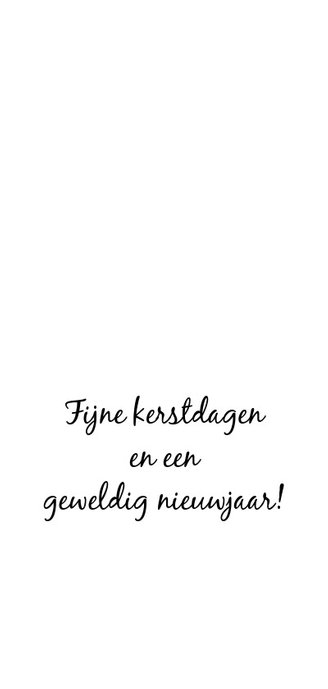 Kerstkaart: Vreugde voor de wereld! 3