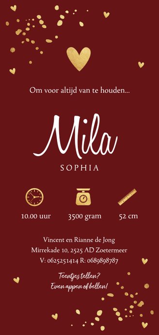 Langwerpig geboortekaartje confetti goud bordeauxrood Achterkant