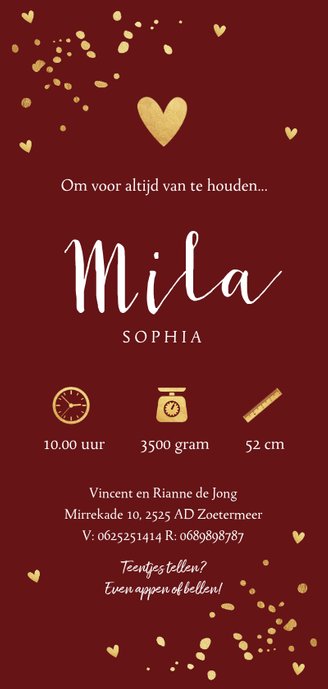 Langwerpig geboortekaartje confetti goud bordeauxrood Achterkant