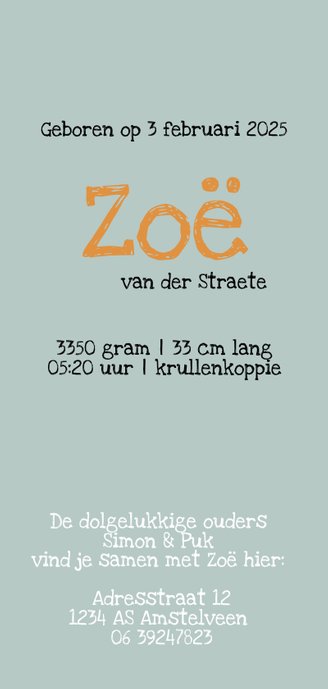 Lief geboortekaartje met gestreepte giraffe Achterkant