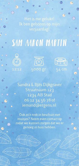 Lieve waterverf geboortekaart met fijne illustraties Achterkant