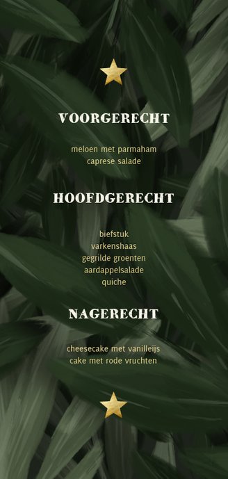 Menukaart kerstdiner jungle bladeren met lampjes Achterkant