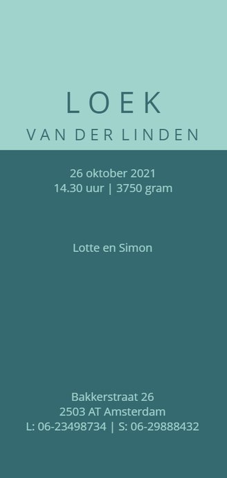 Minimalistische geboortekaart met silhouet autobus Achterkant
