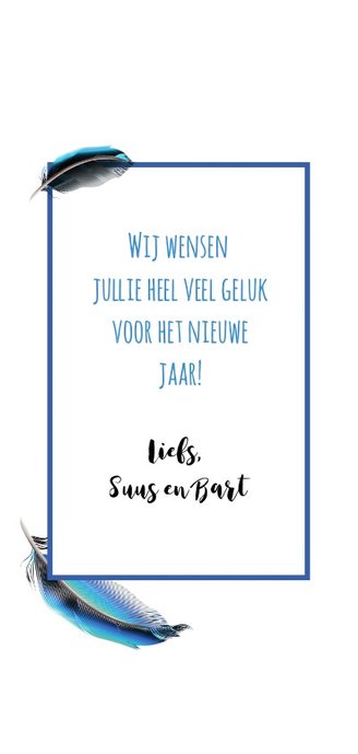 Nieuwe ronde, nieuwe kansen nieuwjaarskaart Achterkant