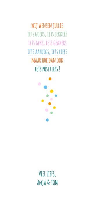 Nieuwjaar Fancactus kerstlichtjes Achterkant