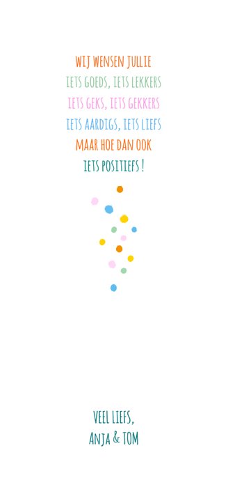 Nieuwjaar Fancactus kerstlichtjes Achterkant