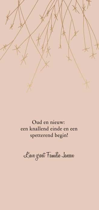 Nieuwjaarskaart vuurwerk happy new year Achterkant