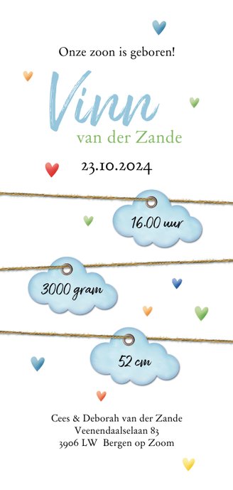 Op een blauwe wolk hartjes regen geboorte dubbel 3