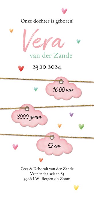 Op een roze wolk met hartjes regen geboorte dubbel 3