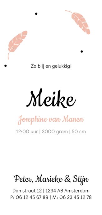 Roze veertjes en stipjes Achterkant