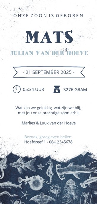 Stoer en hip geboortekaartje zeedieren illustraties Achterkant