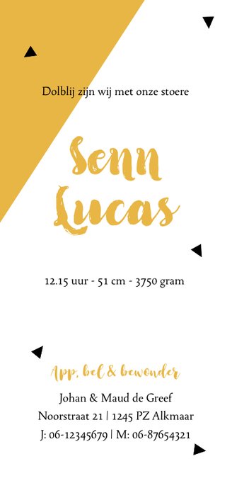 Strak geboortekaartje met lijnen Achterkant