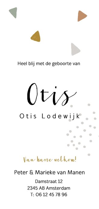 Trendy geboortekaartje met gekleurde driehoekjes Achterkant
