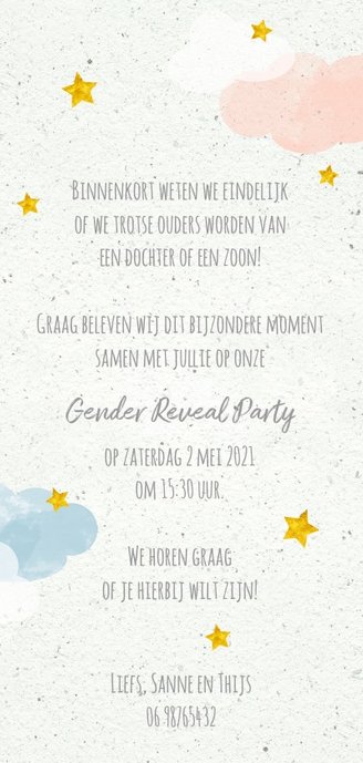Uitnodiging boy or girl gender party in de wolken Achterkant