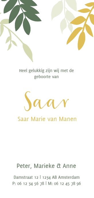 Unisex geboortekaartje met gele en groen takjes Achterkant