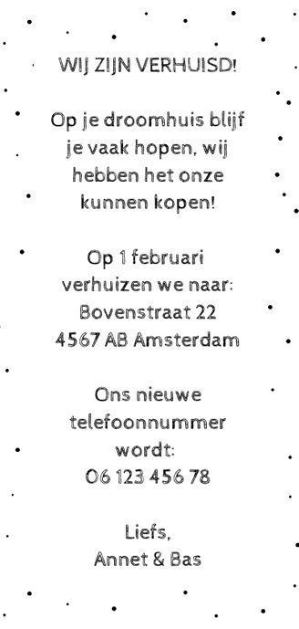 Verhuiskaart langwerpig met Amsterdamse huisjes en reflectie Achterkant