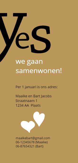 Verhuizen typografie samenwonen Achterkant