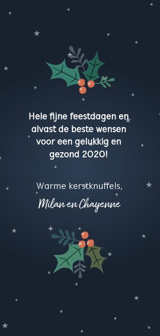 Vrolijke kerstkaart met rendier, foto en kerstversiering Achterkant