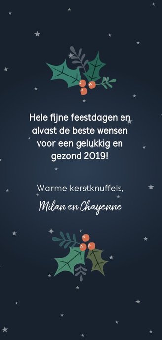Vrolijke kerstkaart met rendier, foto en kerstversiering Achterkant