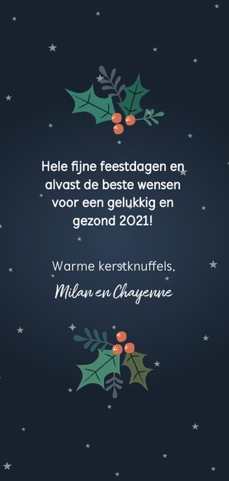 Vrolijke kerstkaart met rendier, foto en kerstversiering Achterkant