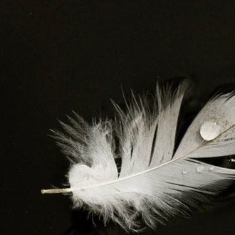 Cardsize preview