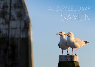 Cardsize preview