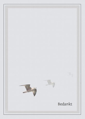 Cardsize preview