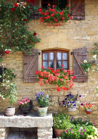 Succesvol weduwe Raadplegen Bloemen Frankrijk huis - Bloemenkaarten | Kaartje2go