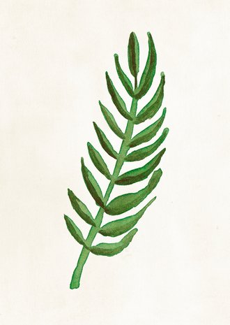Cardsize preview