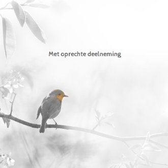 Cardsize preview
