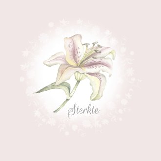 Cardsize preview