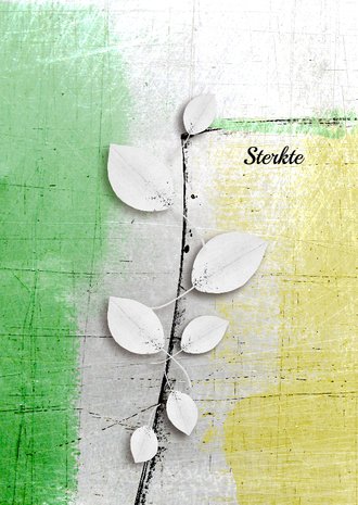 Cardsize preview