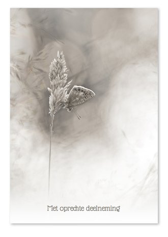 Cardsize preview