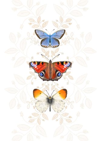Card thumbnail